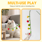🐱Interactief Fruitvormig Kattenkruid Speelgoed met Touwtje!