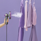⏳ Tijdelijke korting van 50%! 💥Draagbare 2-in-1 handheld kledingstomer