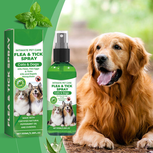 Natural Flea & Tick Spray for Dogs and Cats🐾 Keep Your Beloved Pet Free from Pests 🐾