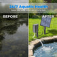 🌞Zonne-energie Vijverbeluchter met luchtpomp – nul elektriciteitskosten – houd vissen gezond en water helder – 50% KORTING 🐟💧