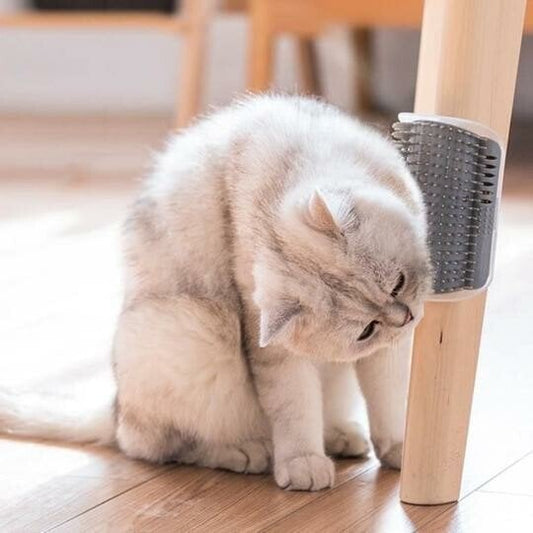Katten Hoek Massage Borstel